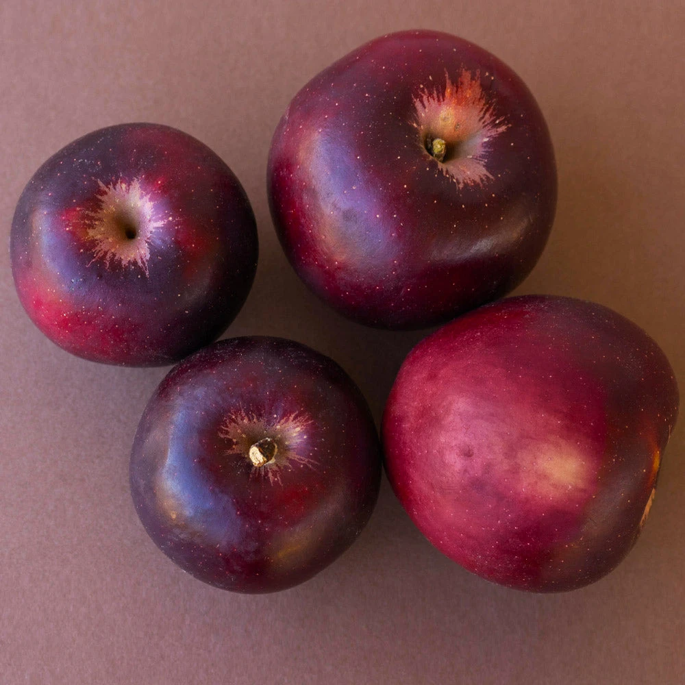 Arkansas Black Apple Tree - Image 4