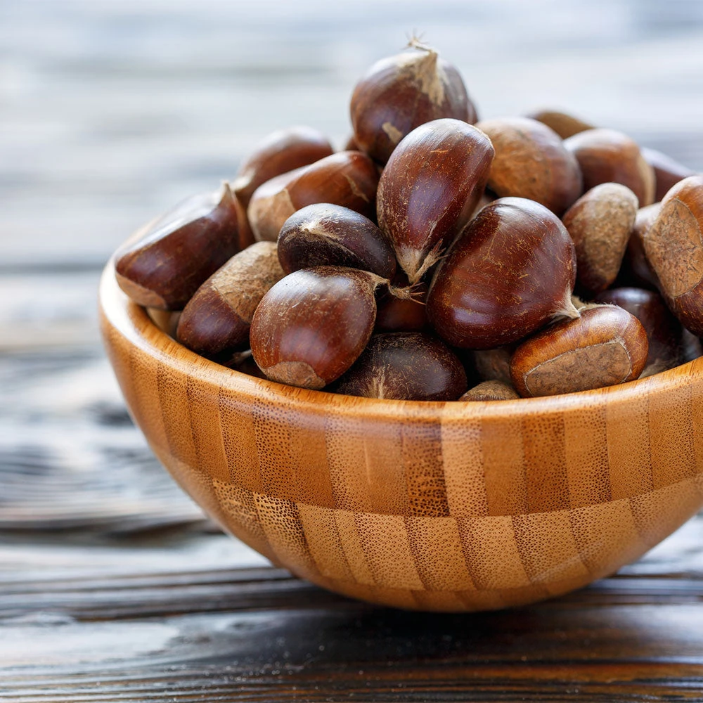 Chinese Chestnut Tree - Image 6