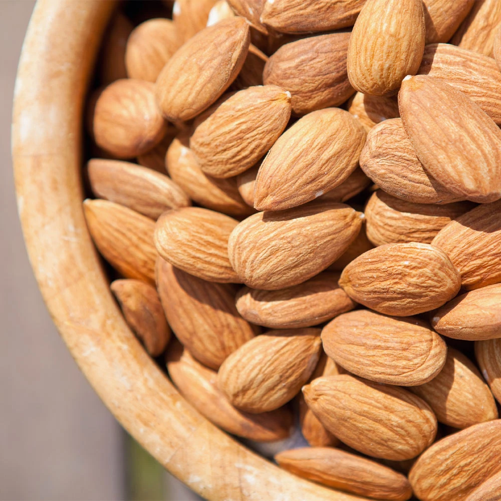 Nonpareil Almond Tree - Image 4