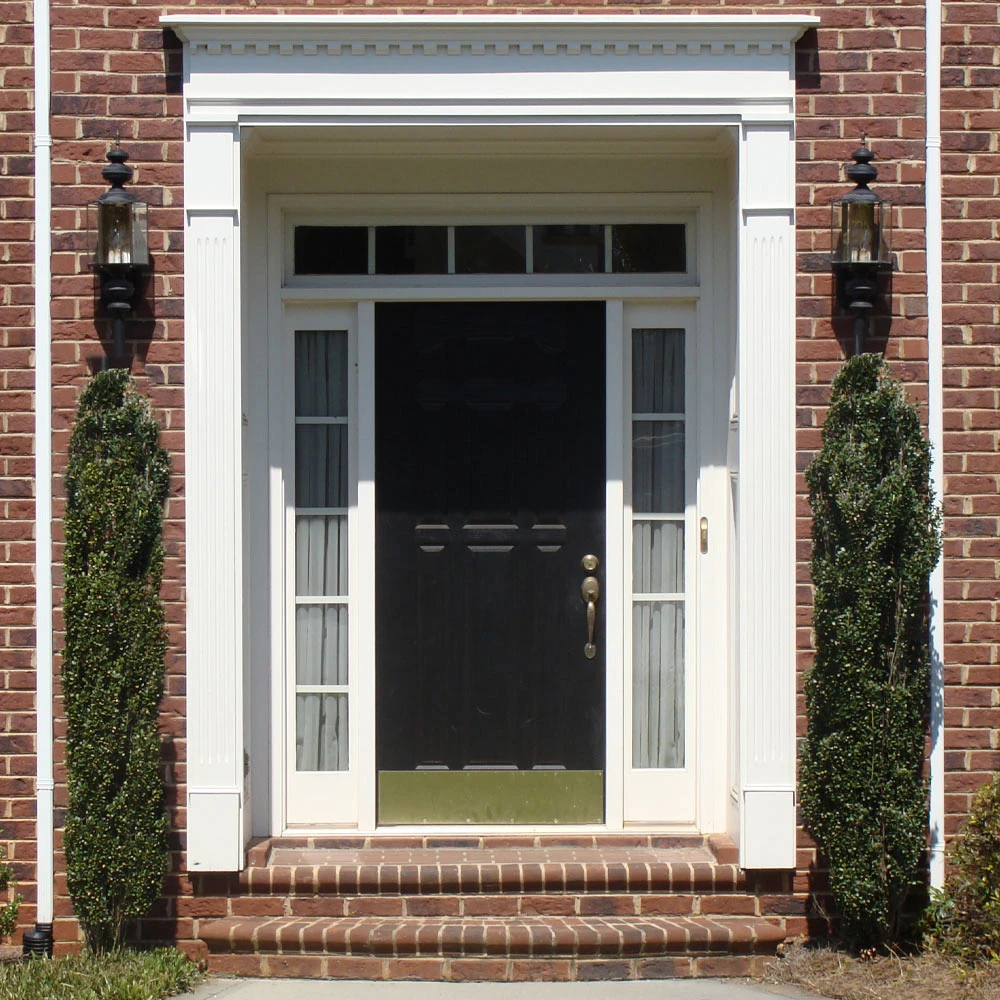 Sky Pencil Holly Tree - Image 5