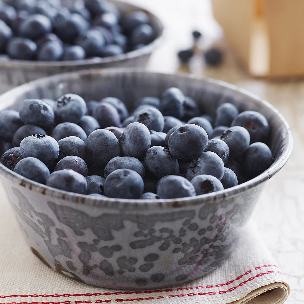 Sweetheart Blueberry Bush - Image 3